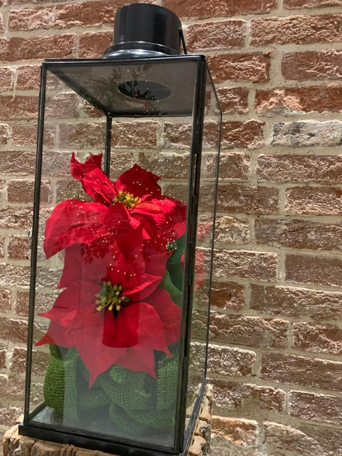 Al Pozzo Di Luce Venezia Suites المظهر الخارجي الصورة